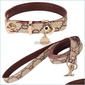 Halsbanden Hondenhalsbanden Hondenriemen Designer Hondenriemen Geruite riem Geen pl-harnas voor kat Chihuahu 240302