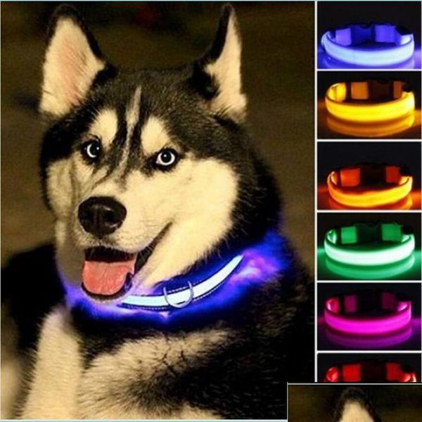 Colliers de chien laisse les colliers de chien laisse en nylon LED Collier de compagnie de nuit