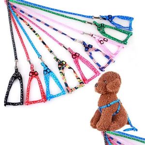 Halsbanden Hondentuig Hondenriemen Nylon Bedrukt Verstelbaar Halsband voor huisdieren Puppy Kat Dieren Accessoires Ketting Touw Groothandel Fy Dh3Vo