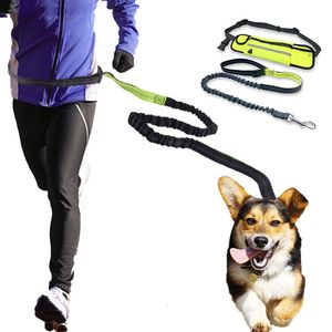 Colliers pour chiens Laisses Laisse pour chien avec sac de ceinture Courir Jogging Laisse pour animaux de compagnie Harnais élastique pour chiens Collier taille réglable Laisses pour chiens Mains libres 230512