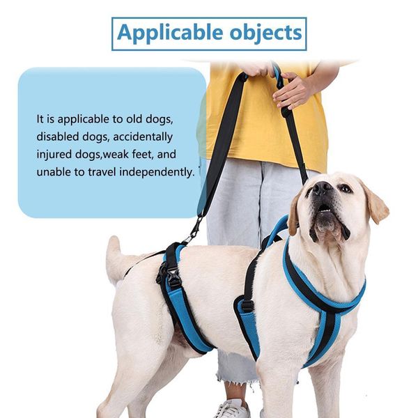 Collares para perros Correas Arnés de elevación para perros Soporte de recuperación Eslinga Rehabilitación de mascotas Eslinga de transporte para perros viejos discapacitados Lesiones en las articulaciones Artritis Perros Paseo 230829