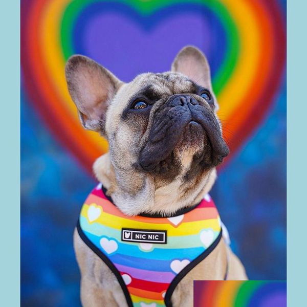 Collares para perros Correas Chaleco para perros Arnés No Pl Arco iris Impreso Arneses y correas Conjunto Malla transpirable Collares para cachorros acolchados para pequeños Otipp