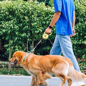 Halsbanden Leashes Duurzaam Automatisch Intrekbaar Nylon Cat Lead Extension Puppy Walking Running Roulette voor honden