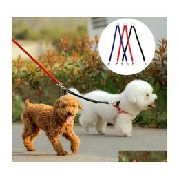 Hondenkragen riemen duurzaam nylon dubbel wandelpaar puppy 2 -weg kraag riem pet traction lood touw riem accessoires huishoudelijke huis is dh2bu