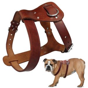 Collares para perros Correas Arnés para perros de cuero genuino Marrón Cuero real Perros Caminando Chaleco de entrenamiento Correas ajustables Mediano Grande Pitbull Boxer Mastiff T221212