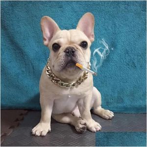 Colliers de chien Laisses Chaîne en or Collier pour ton coupé Curb Cuban Pet Link Personnaliser Bijoux en gros Animaux Cadeau Collier Cou Doré Dr Dhiok