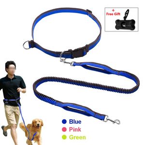 Halsbalsers Leidingen Hands Free Leash Control Taille Dogs Bungee intrekbare kleine tot grote huisdier Leads voor het lopen Jogging Lopen