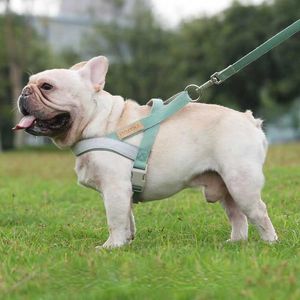 Hondenkragen ontleende harnas Pet Vest Type Set Blends voor middelgrote en grote accessoires Puppy T221212