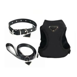 Colliers de chien Leashes Harness Step-in Designer et Set Brand Leather Collar Pet Collar avec sac à main