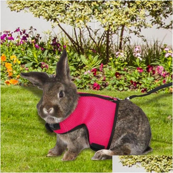 Colliers de chien Laisses Harnais Gilet et laisse Ensemble Furet Cochon d'Inde Accessoires de marche Sangle de poitrine Fournitures pour animaux de compagnie pour Hamster Drop Delive Dham8