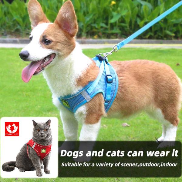 Collares para perros Correas Arnés Chaleco Sin tirones Malla transpirable Cachorro Gato Correa para el pecho Arneses para perros pequeños y medianos Chihuahua Ropa para mascotas XS-XLDog