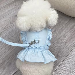 Collares para perros Correas Arnés Chaleco Cachorro Schnauzer maltés Yorkies Correa para exteriores Chihuahua Bichon Poodle Pomerania Plomo Ropa para mascotas RopeDog