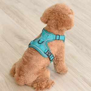 Colliers pour chiens, laisses, harnais avec laisse, gilet réglable, fournitures de marche, accessoires pour animaux de compagnie doux et respirants pour Chihuahua, carlin, petit chiot