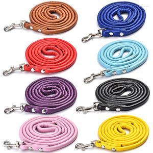 Hondenkragen riemen lood mode pu lederen touwriem voor kleine honden kattenkraag wandelen buiten pet accessoire