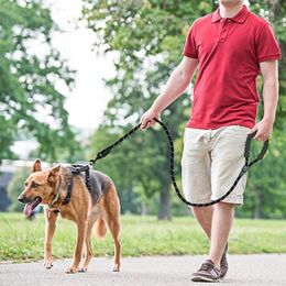 Colliers pour chiens, laisses, ceinture, corde, sangle pour chiens, réflexion nocturne Durable, chaîne en Nylon, fournitures d'extérieur pour animaux de compagnie, 120/150/200/300cm