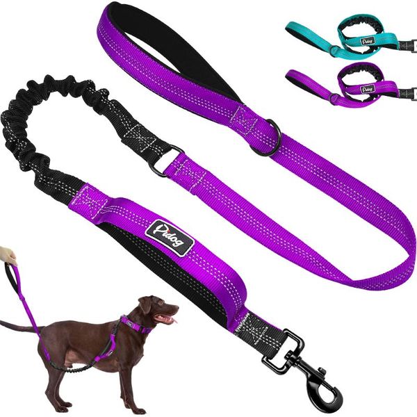 Colliers pour chiens, laisses, laisse élastique, élastique, en Nylon réfléchissant, pour animaux de compagnie, chiot, marche, corde de Traction, 2 poignées