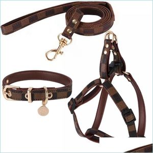 Halsbanden Leren halsbanden voor kleine, middelgrote honden Verstelbaar Zacht Ademend Gewatteerd Puppyhalsband met aluminium gesp Zwaar Ot0Kl