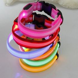 Colliers de chien laisses collier LED lueur lumière animal de compagnie pour petit moyen et grand collier de sécurité 231117