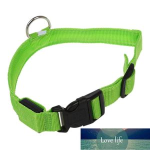 Colliers pour chiens laisses collier LED éclairent la sécurité la nuit, animal de compagnie durable pour petits/moyens/grands chiens comme cadeau prix usine conception experte qualité dernier style original