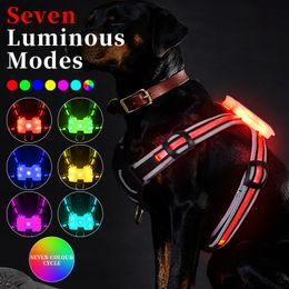 Collares para perros Correas LED Arnés para perros Mascota Recargable Ajustable Intermitente Collar impermeable Noche Anti-perdida Arnés de luz para perros Collar para perros luminoso 230829