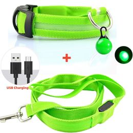 Collares para perros Correas Led Correa brillante Collar luminoso con colgante Conjunto Luz de lujo para tipos Perros Gato Seguridad nocturna Accesorios intermitentes 230719