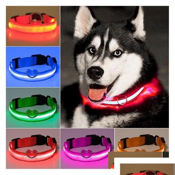 Collares para perros Correas LED Nylon Pet Noche Luz de seguridad Intermitente Resplandor en la oscuridad Pequeña correa USB Carga luminosa Prevención de pérdidas Acc Dhcao