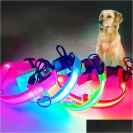 Colliers de chien laisse éclairer un collier LED rechargeable USB clignotant réfléchissant de la nuit pour votre DH4QP DH4QP