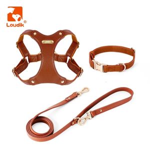 Collares para perros Correas Loudik Arnés y correa para perros de cuero de lujo Conjunto Nombre de identificación Impreso Sin tirones Ajustable Pequeño Mediano Grande Collar para mascotas Venta al por mayor 231110