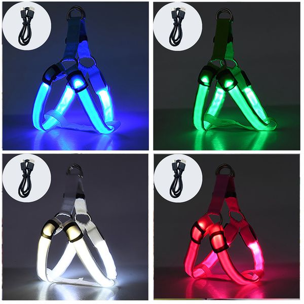 Colliers pour chiens Laisses Harnais pour chien lumineux Charge Anti-LostCar Accident Light Dog Breast-band Safe LED Dogs Laisse Harnais pour animaux de compagnie Chiens Acessorios 221125