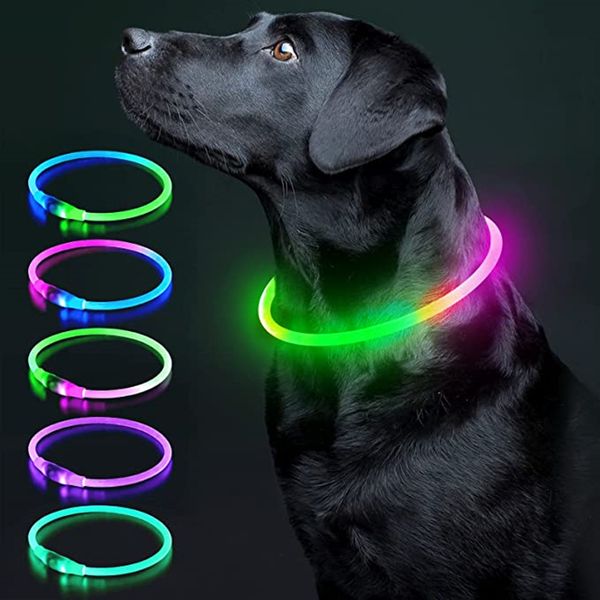 Collières de chien Laux Lumineux Lumière Charge Collier Collier LED Fashion clignot