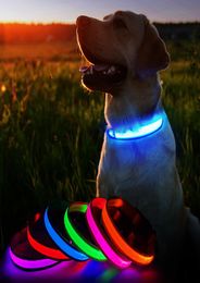 Colliers de chien Laux Masbrill LED Luminous Pet Supplies Waterpoof Safety Glow Collier clignotant ACCESSOIRES UP ACCESSOIRES 2210116261129