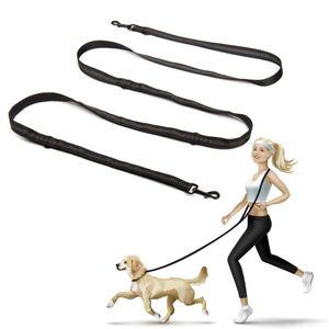 Colliers pour chiens Laisses Entraînement multifonctionnel 3 mètres Nylon Double fournitures Mains libres Pet Lead avec poignées rembourrées 230403