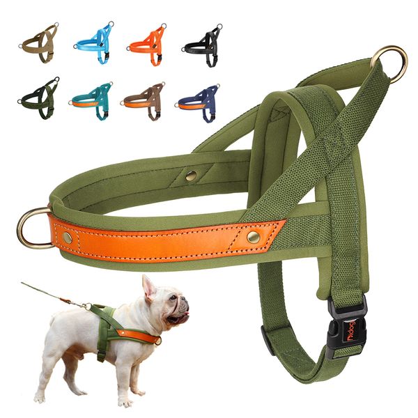 Colliers pour chiens Laisses Harnais sans traction Harnais rembourrés doux Gilet réfléchissant Formation pour animaux de compagnie Durable pour petits chiens de taille moyenne Bouledogue 230619