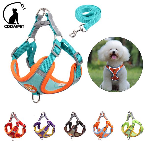 Colliers pour chiens Laisses Harnais et laisse pour animaux de compagnie sans traction Gilet réglable pour chiot et chat Laisse de marche réfléchissante pour petits chiens Chihuahua 230619