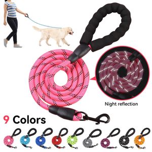 Colliers pour chiens Laisses Harnais en nylon Laisse pour chiens de taille moyenne Laisse Formation pour animaux de compagnie Course à pied Sécurité Montagne Escalade Cordes Fourniture Z0609