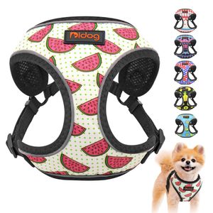 Halsbanden Riemen Nylon Reflecterende Kat Harnas Vest Gedrukt Franse Bulldog Puppy Kleine Middelgrote Honden Katten Voor Chihuahua Wandelen 230619