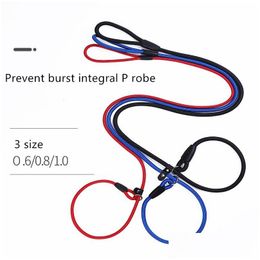 Colliers de chien Laisses Nylon Formation Sangle Rappel Long Lead Pet Traction Corde pour l'enseignement Cam DHS Min Drop Livraison Maison Jardin Su Dhwbf