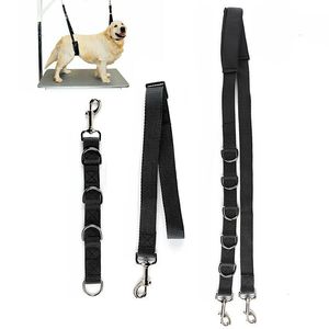 Colliers de chien Laisses Pet réglable toilettage pour chien sangle ventrale anneaux en D bande de bain taille libre ceinture de traction pour animaux de compagnie collier de chien harnais pour chien 3 pièces 230829