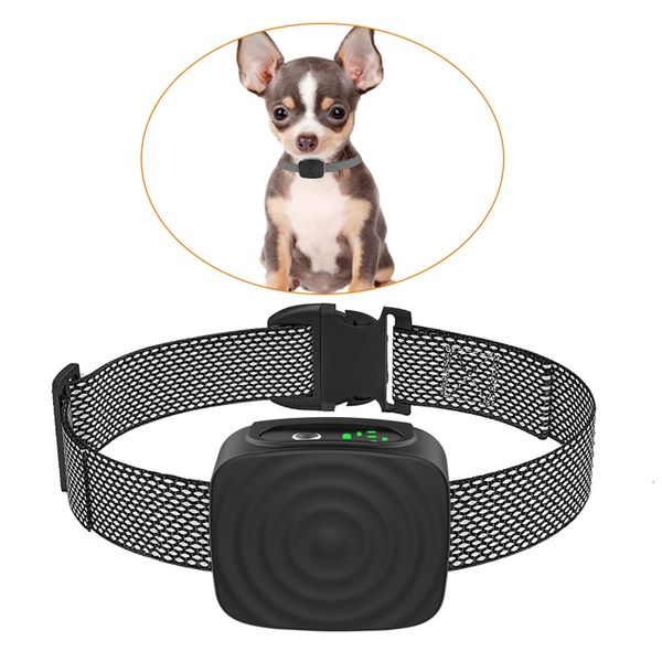 Colliers de chien Laisses Dispositif anti-aboiement pour animaux de compagnie USB Ultrasons Intelligent Collier de dressage de chiens électriques Arrêter d'aboyer Vibration Preuve de l'eau 230922