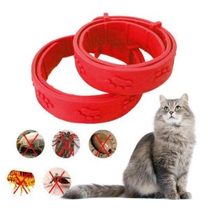 Dog Collars Leashes Pet Cat Collar Anti Flea Mite Lice Insecticide Mosquito Outdoor Adjustable Long term Protection Accessories 230919