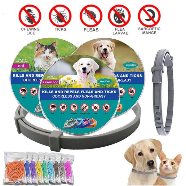 Colliers pour chiens Laisses Pet Cat Chien Collier anti-puces et anti-tiques Collier anti-parasitaire Collier anti-puces réglable pour chiot chat Produits pour gros chiens 230625