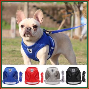 Hondenkragen ontleenden Pet Cat Hondenharnas en riem Set kleine middelgrote honden borstharnas voor Chihuahua Franse bulldog pug puppy Harnes Vest accessoires T221212