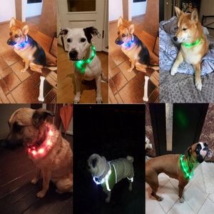 Colliers pour chiens laisses collier pour animaux de compagnie Rechargeable par USB avertissement de sécurité de nuit illuminé réglable Silicone coupé pour redimensionner le chien