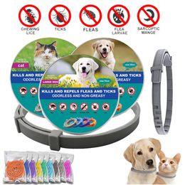 Halsbanden Hondenvlooien- en tekenhalsband antiparasietketting verstelbaar voor kleine honden katten grote producten 231117