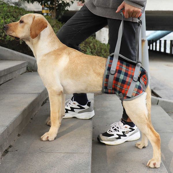 Colliers de chien Laisses Harnais de soutien de levage pour chien de compagnie pour les pattes avant arrière du vieux chien Aides utiles Sangles avec poignée Aide les jambes faibles Outil d'aide à la levée T221212