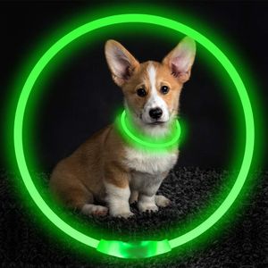 Colliers pour chiens laisses collier clignotant pour animaux de compagnie collier lumineux rechargeable par USB collier de sécurité colliers lumineux pour la marche de nuit collier de chien électrique néon 230422