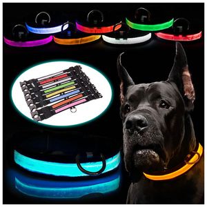 Colliers pour chiens laisses collier lumineux pour animaux de compagnie collier lumineux LED éclairé coloré pour petits grands chiens moyens