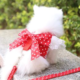 Hondenkragen ontleenden huisdierharnas met riem set bowknot dot print vest voor kleine puppyhonden chihuahua Yorkshire