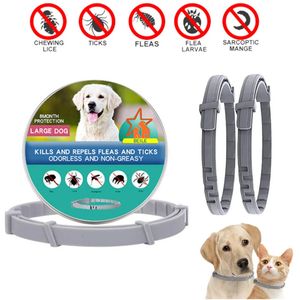 Colliers de chien laisse les insectes pour animaux de compagnie collier de puce répulsif avec collier extensible pour prévenir les puces et coche le gros chien chiot chat moustique 231117