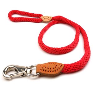 Halsboorden Leidingen Pet Leash Nylon voor Kleine Medium Honden Katten Puppy Walking Running Lood levert Accessoires